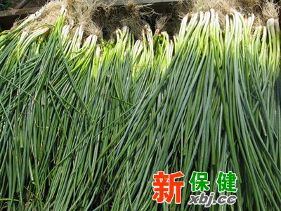 冬季吃蔥可驅(qū)寒,蔥要如何選,蔥